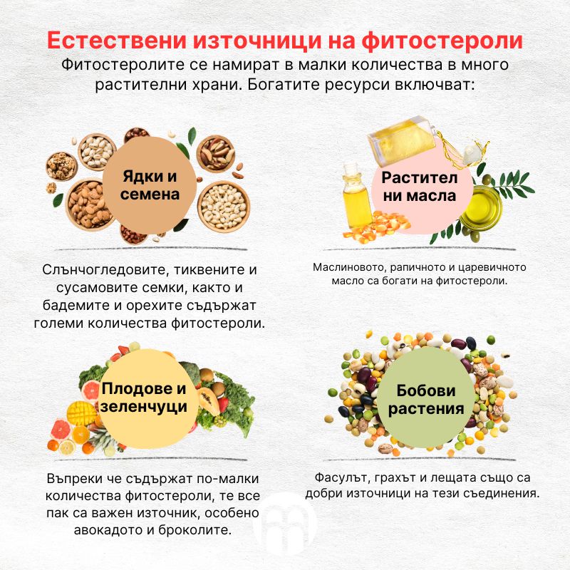 (Bulharština) Přirozené zdroje fytosterolů